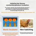 Waterbed Egg Incubator Provides Precise Temperature Control For Bird Eggs Hatching With Digital Display Automatic Turning System