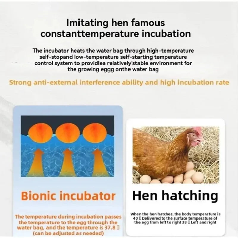 Waterbed Egg Incubator Provides Precise Temperature Control For Bird Eggs Hatching With Digital Display Automatic Turning System