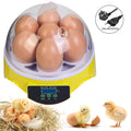 Intelligent Small-Sized 7-Piece Automatic Constant Temperature Incubator For Incubating Chickens, Ducks And Quails.