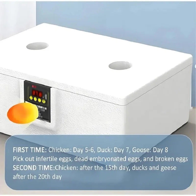Waterbed Egg Incubator Provides Precise Temperature Control For Bird Eggs Hatching With Digital Display Automatic Turning System
