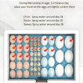 Waterbed Egg Incubator Provides Precise Temperature Control For Bird Eggs Hatching With Digital Display Automatic Turning System