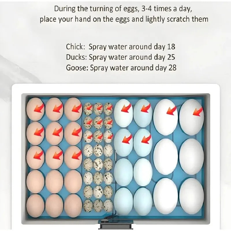 Waterbed Egg Incubator Provides Precise Temperature Control For Bird Eggs Hatching With Digital Display Automatic Turning System