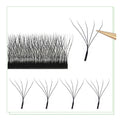 MARIA W Shape Eyelash Extensions  3D 4D 5D 6D 7D Premade Fans Speed Eyelash Extensions Natural Soft Light Full Dense