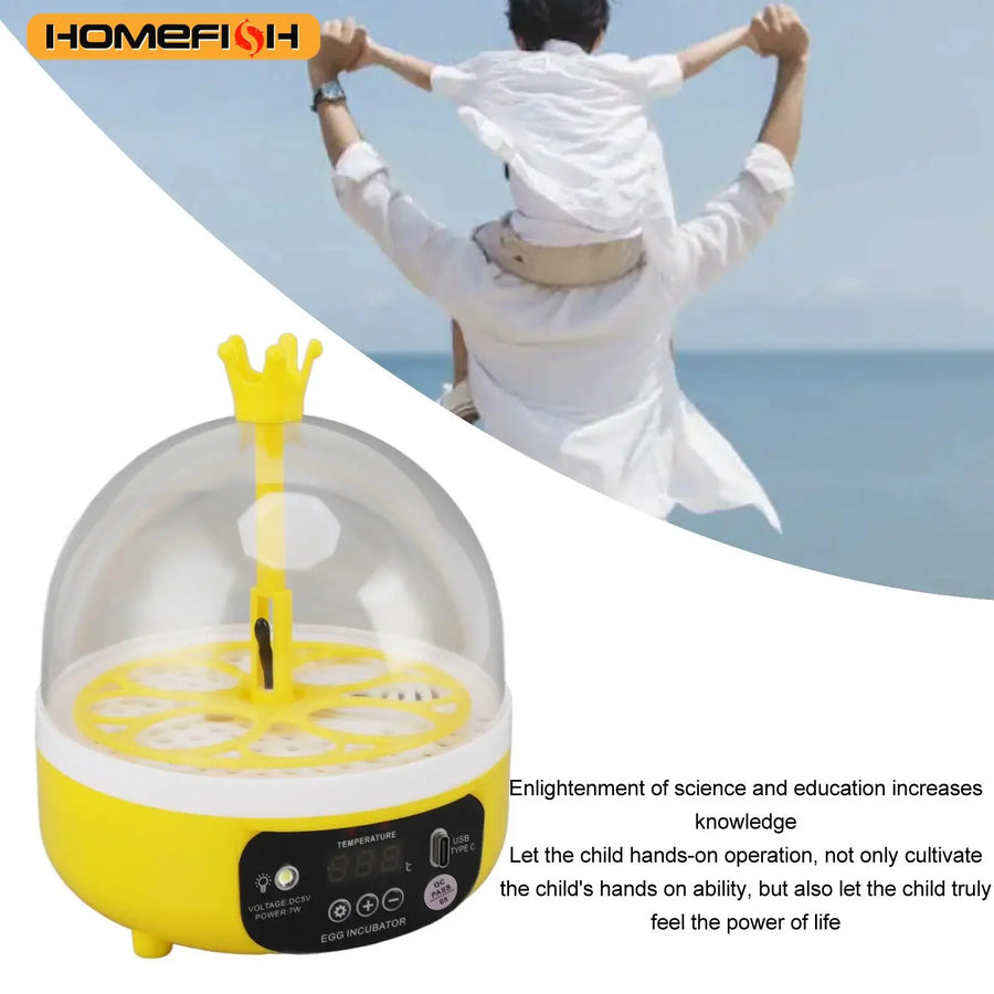 Mini home egg incubator Automatic temperature and humidity control 4 eggs Candler poultry incubator