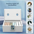 Waterbed Egg Incubator Provides Precise Temperature Control For Bird Eggs Hatching With Digital Display Automatic Turning System