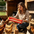 Chicken Feeder Trough Easy-Fill Bowl Multi-Hole Multi-bird Feeding Station for Chicks Ducklings Goslings Quail Ducks Animals
