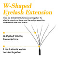 MASSCAKU 12Lines Premium Mink 3D 4D 5D 6D Pre-made False Eyelash W Shape Soft and Natural Individual Lash Extension Supplies
