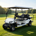 Custom Reliable Electric Golf Carts and Sightseeing Vehicles 4-Seater 6-Seater 8-Seater for Resorts Scenic Areas and Villas