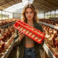 Chicken Feeder Trough Easy-Fill Bowl Multi-Hole Multi-bird Feeding Station for Chicks Ducklings Goslings Quail Ducks Animals