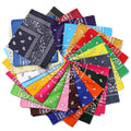 Classic Paisley Bandana Square Head Scarf, Multi-Use Sports Cycling Neck Face Wrap, Portable Street Aesthetic Accessory for Outdoor Daily Styling