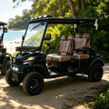 Electric Golf Cart 4 Seater with Colorful RGB LED Underglow Lights Lithium Battery Offroad Golf Buggy