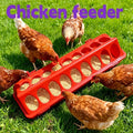 Chicken Feeder Trough Easy-Fill Bowl Multi-Hole Multi-bird Feeding Station for Chicks Ducklings Goslings Quail Ducks Animals