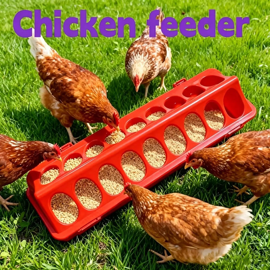 Chicken Feeder Trough Easy-Fill Bowl Multi-Hole Multi-bird Feeding Station for Chicks Ducklings Goslings Quail Ducks Animals